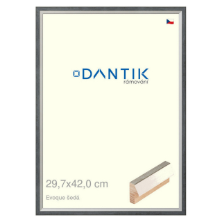 DANTIK rámeček 29,7x42 | EVOQUE šedá (Plexi Čiré)