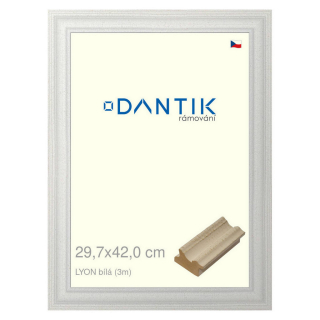 DANTIK rámeček 29,7x42 | LYON Bílá (Plexi Čiré)