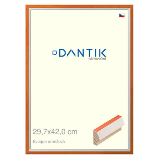 DANTIK rámeček 29,7x42 | EVOQUE oranžová (Plexi Čiré)