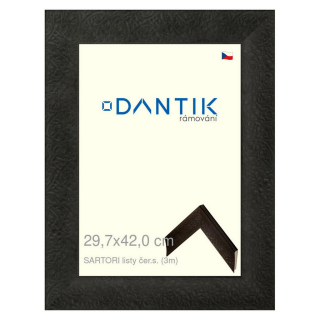 DANTIK rámeček 29,7x42 | SARTORI listy čer.s. (Plexi Čiré)