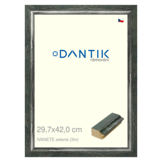 DANTIK rámeček 29,7x42 | IVANETE zelená (Plexi Čiré)