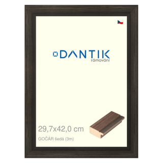 DANTIK rámeček 29,7x42 | Gočár šedá (Plexi Čiré)