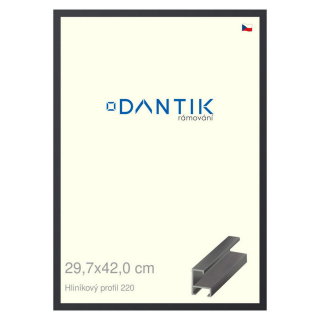 DANTIK rámeček 29,7x42 | ALU profil 6220 Černá matná (Plexi Čiré)