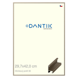 DANTIK rámeček 29,7x42 | ALU profil 6030 champagne (Plexi Čiré)