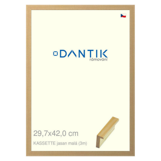 DANTIK rámeček 29,7x42 | KASSETTE jasan malá (Plexi Čiré)
