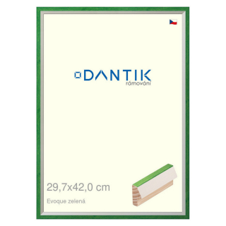 DANTIK rámeček 29,7x42 | EVOQUE zelená (Plexi Čiré)
