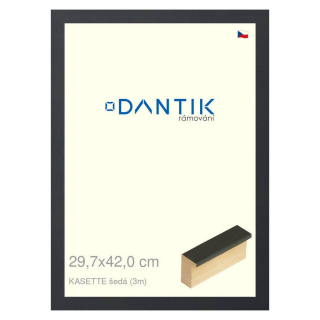 DANTIK rámeček 29,7x42 | KASSETTE šedá (Plexi Čiré)