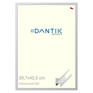 DANTIK rámeček 29,7x42 | ALU profil 6220 Bílá matná (Plexi Čiré)