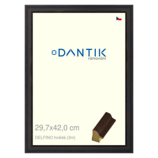 DANTIK rámeček 29,7x42 | DELFINO hnědá (Plexi Čiré)