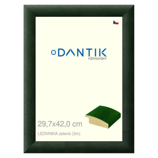 DANTIK rámeček 29,7x42 | LEDVINKA zelená (Plexi Čiré)