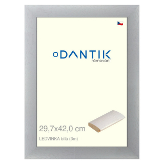 DANTIK rámeček 29,7x42 | LEDVINKA bílá (Plexi Čiré)