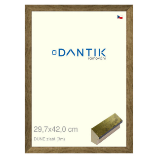 DANTIK rámeček 29,7x42 | DUNE zlatá (Plexi Čiré)