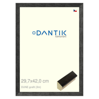 DANTIK rámeček 29,7x42 | DUNE grafit (Plexi Čiré)