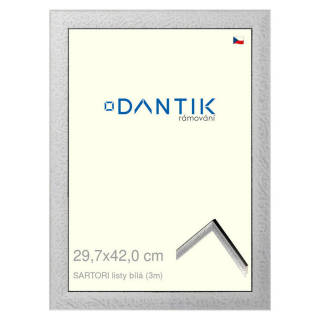 DANTIK rámeček 29,7x42 | SARTORI listy čílá (Plexi Čiré)