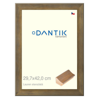 DANTIK rámeček 29,7x42 | Lauren starozlatá (Plexi Čiré)