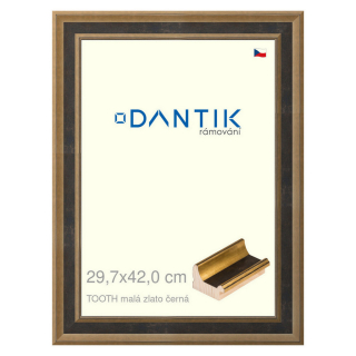 DANTIK rámeček 29,7x42 | TOOTH malá zlato černá (Plexi Čiré)