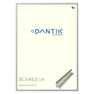 DANTIK rámeček 29,7x42 | ALU profil 7001 Stříbrná matná (Plexi Čiré)