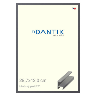 DANTIK rámeček 29,7x42 | ALU profil 6220 Ocelová (Plexi Čiré)
