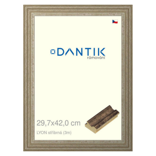 DANTIK rámeček 29,7x42 | LYON stříbrná (Plexi Čiré)