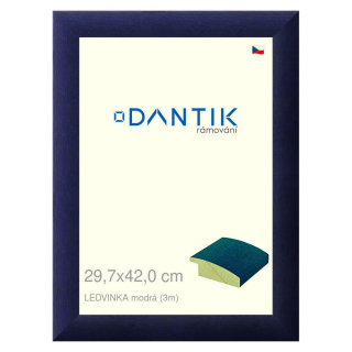 DANTIK rámeček 29,7x42 | LEDVINKA modrá (Plexi Čiré)
