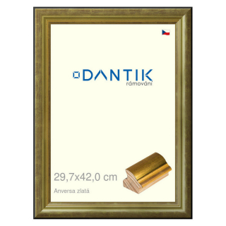 DANTIK rámeček 29,7x42 | ANIVERSA zlatá (Plexi Čiré)