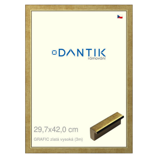 DANTIK rámeček 29,7x42 | GRAFIC zlatá vysoká (Plexi Čiré)