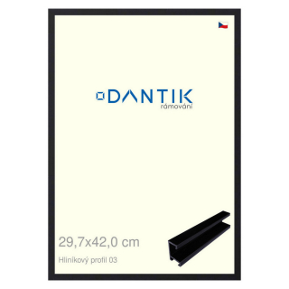 DANTIK rámeček 29,7x42 | ALU profil 7003 Černá matná (Plexi Čiré)
