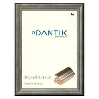 DANTIK rámeček 29,7x42 | ANIVERSA stříbrná (Plexi Čiré)