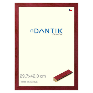 DANTIK rámeček 29,7x42 | PIATTA tm.růžová (Plexi Čiré)