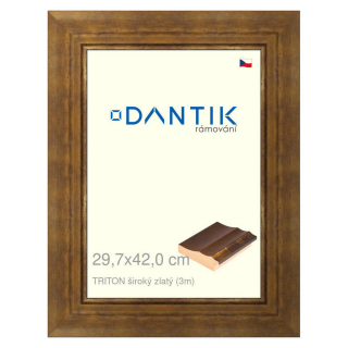 DANTIK rámeček 29,7x42 | TRITON široký zlatý (Plexi Čiré)