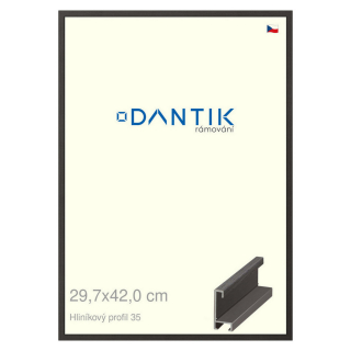 DANTIK rámeček 29,7x42 | ALU profil 6035 Dýha černá (Plexi Čiré)