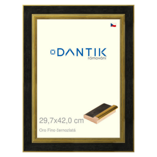 DANTIK rámeček 29,7x42 | Oro Fino černozlatá (Plexi Čiré)