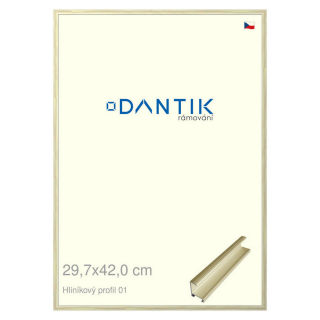 DANTIK rámeček 29,7x42 | ALU profil 7001 zlatá lesklá alternativa (Plexi Čiré)