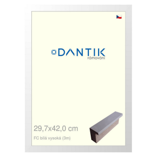 DANTIK rámeček 29,7x42 | FC Bílá vysoká (Plexi Čiré)