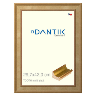DANTIK rámeček 29,7x42 | TOOTH malá zlatá (Plexi Čiré)