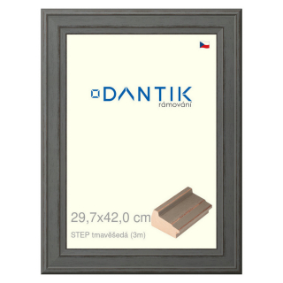 DANTIK rámeček 29,7x42 | STEP tmavěšedá (Plexi Čiré)