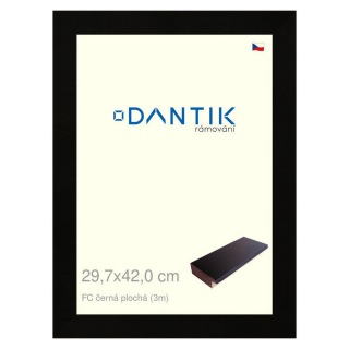 DANTIK rámeček 29,7x42 | FC černá plochá (Plexi Čiré)