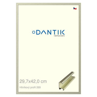DANTIK rámeček 29,7x42 | ALU profil 7269 Šedá Pyrit broušená (Plexi Čiré)
