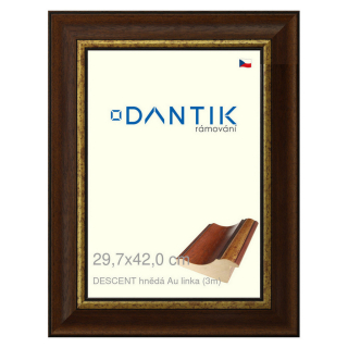 DANTIK rámeček 29,7x42 | DESCENT hnědá Au linka (Plexi Čiré)