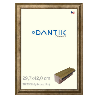 DANTIK rámeček 29,7x42 | TRITON bílý bronz (Plexi Čiré)
