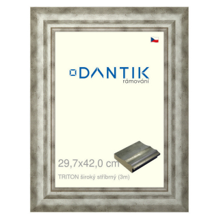 DANTIK rámeček 29,7x42 | TRITON široký stříbrný (Plexi Čiré)
