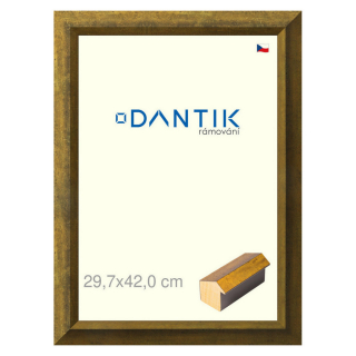 DANTIK rámeček 29,7x42 | Forgia Gold (Plexi Čiré)