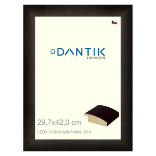DANTIK rámeček 29,7x42 | LEDVINKA tmavě hnědá (Plexi Čiré)