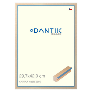 DANTIK rámeček 29,7x42 | CARINA modrá (Plexi Čiré)