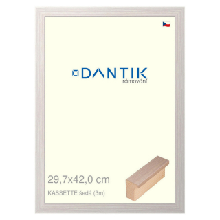 DANTIK rámeček 29,7x42 | KASSETTE šedá (Plexi Čiré)