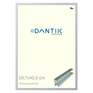 DANTIK rámeček 29,7x42 | ALU profil 7003 Stříbrná matná (Plexi Čiré)