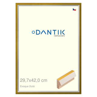 DANTIK rámeček 29,7x42 | EVOQUE žlutá (Plexi Čiré)