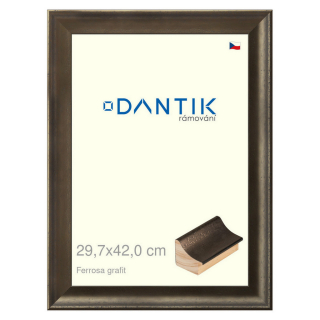 DANTIK rámeček 29,7x42 | Ferrosa grafit (Plexi Čiré)