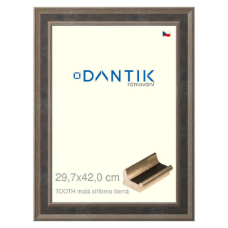 DANTIK rámeček 29,7x42 | TOOTH malá stříbrno černá (Plexi Čiré)