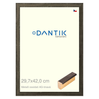 DANTIK rámeček 29,7x42 | Metalli oidati AG tmavá (Plexi Čiré)